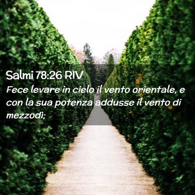 Picture 02 - Salmi 78:26 RIV - Fece levare in cielo il vento orientale, e con la - Bible Verse Picture