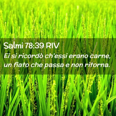Picture 02 - Salmi 78:39 RIV - Ei si ricordò ch’essi erano carne, un fiato - Bible Verse Picture