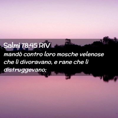 Picture 02 - Salmi 78:45 RIV - mandò contro loro mosche velenose che li - Bible Verse Picture