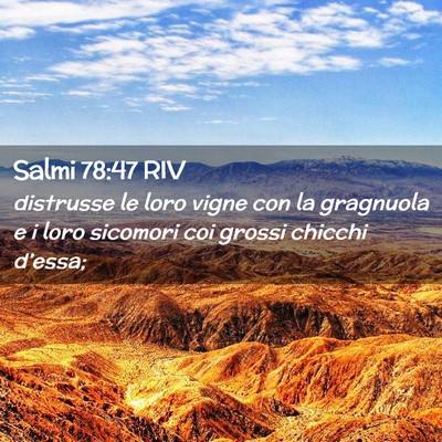 Picture 02 - Salmi 78:47 RIV - distrusse le loro vigne con la gragnuola e i loro - Bible Verse Picture