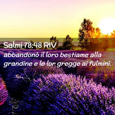 Picture 02 - Salmi 78:48 RIV - abbandonò il loro bestiame alla grandine e le - Bible Verse Picture