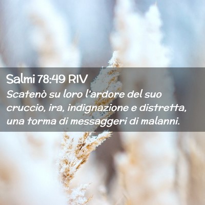 Picture 02 - Salmi 78:49 RIV - Scatenò su loro l’ardore del suo cruccio, ira, - Bible Verse Picture