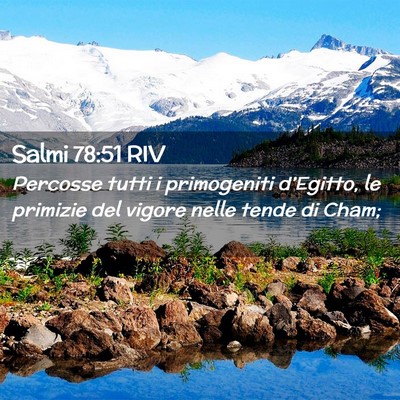 Picture 02 - Salmi 78:51 RIV - Percosse tutti i primogeniti d’Egitto, le - Bible Verse Picture