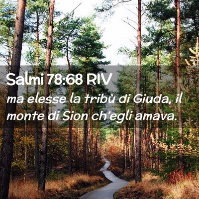 Picture 02 - Salmi 78:68 RIV - ma elesse la tribù di Giuda, il monte di Sion - Bible Verse Picture