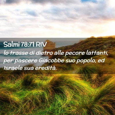 Picture 02 - Salmi 78:71 RIV - lo trasse di dietro alle pecore lattanti, per - Bible Verse Picture