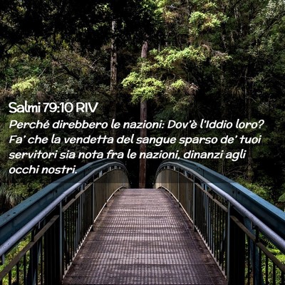 Picture 02 - Salmi 79:10 RIV - Perché direbbero le nazioni: Dov’è l’Iddio - Bible Verse Picture