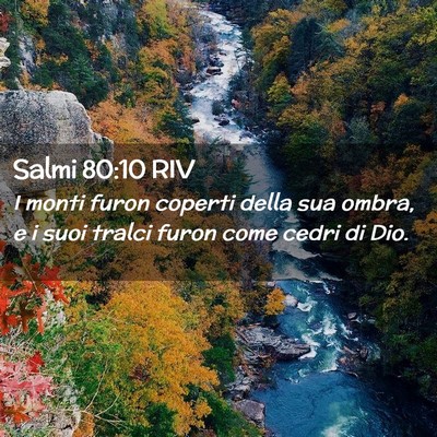 Picture 02 - Salmi 80:10 RIV - I monti furon coperti della sua ombra, e i suoi - Bible Verse Picture