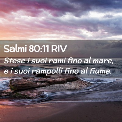 Picture 02 - Salmi 80:11 RIV - Stese i suoi rami fino al mare, e i suoi rampolli - Bible Verse Picture