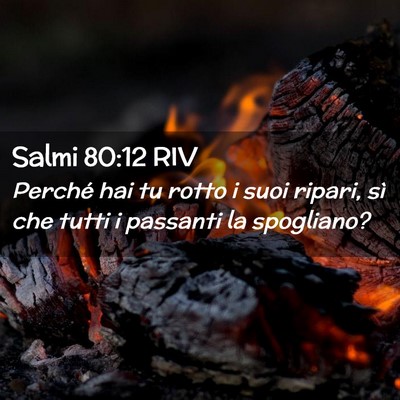 Picture 02 - Salmi 80:12 RIV - Perché hai tu rotto i suoi ripari, sì che tutti - Bible Verse Picture