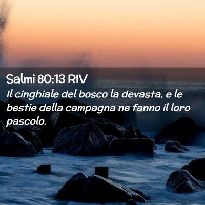 Picture 02 - Salmi 80:13 RIV - Il cinghiale del bosco la devasta, e le bestie - Bible Verse Picture