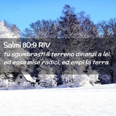 Picture 02 - Salmi 80:9 RIV - tu sgombrasti il terreno dinanzi a lei, ed essa - Bible Verse Picture