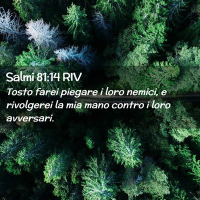 Picture 02 - Salmi 81:14 RIV - Tosto farei piegare i loro nemici, e rivolgerei - Bible Verse Picture
