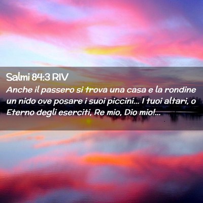 Picture 02 - Salmi 84:3 RIV - Anche il passero si trova una casa e la rondine - Bible Verse Picture