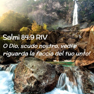 Picture 02 - Salmi 84:9 RIV - O Dio, scudo nostro, vedi e riguarda la faccia - Bible Verse Picture