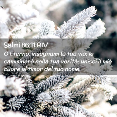 Picture 02 - Salmi 86:11 RIV - O Eterno, insegnami la tua via; io camminerò - Bible Verse Picture