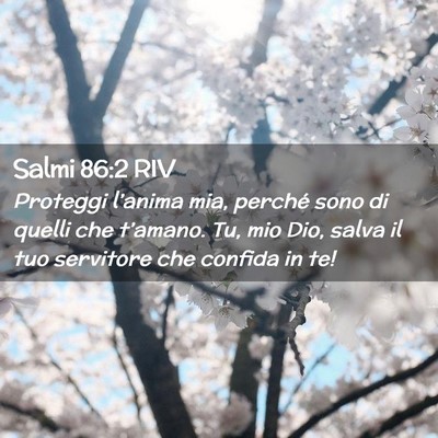 Picture 02 - Salmi 86:2 RIV - Proteggi l’anima mia, perché sono di quelli - Bible Verse Picture