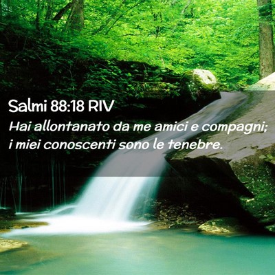 Picture 02 - Salmi 88:18 RIV - Hai allontanato da me amici e compagni; i miei - Bible Verse Picture