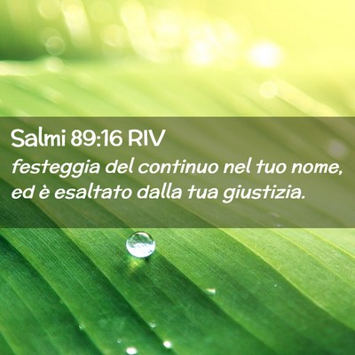 Picture 02 - Salmi 89:16 RIV - festeggia del continuo nel tuo nome, ed è - Bible Verse Picture