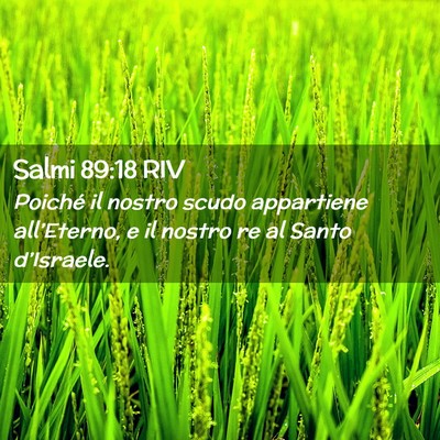 Picture 02 - Salmi 89:18 RIV - Poiché il nostro scudo appartiene all’Eterno, - Bible Verse Picture