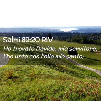 Picture 02 - Salmi 89:20 RIV - Ho trovato Davide, mio servitore, l’ho unto con - Bible Verse Picture