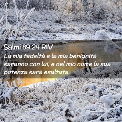 Picture 02 - Salmi 89:24 RIV - La mia fedeltà e la mia benignità saranno con - Bible Verse Picture