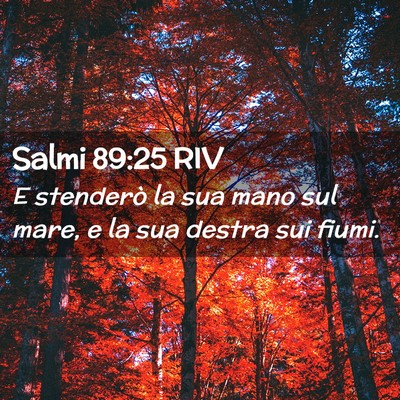Picture 02 - Salmi 89:25 RIV - E stenderò la sua mano sul mare, e la sua destra - Bible Verse Picture