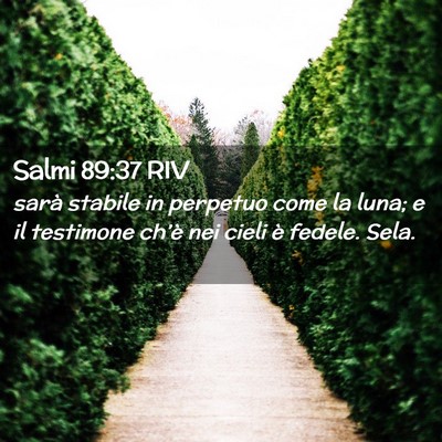 Picture 02 - Salmi 89:37 RIV - sarà stabile in perpetuo come la luna; e il - Bible Verse Picture