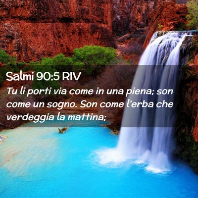 Picture 02 - Salmi 90:5 RIV - Tu li porti via come in una piena; son come un - Bible Verse Picture