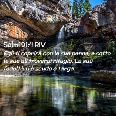 Picture 02 - Salmi 91:4 RIV - Egli ti coprirà con le sue penne, e sotto le sue - Bible Verse Picture