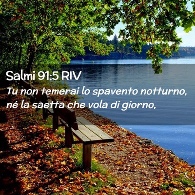 Picture 02 - Salmi 91:5 RIV - Tu non temerai lo spavento notturno, né la - Bible Verse Picture