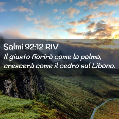 Picture 02 - Salmi 92:12 RIV - Il giusto fiorirà come la palma, crescerà come - Bible Verse Picture