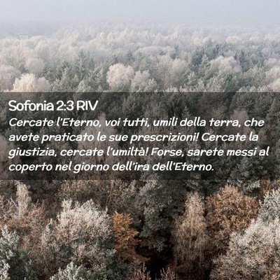Picture 02 - Sofonia 2:3 RIV - Cercate l’Eterno, voi tutti, umili della terra, - Bible Verse Picture