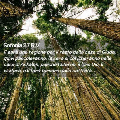 Picture 02 - Sofonia 2:7 RIV - E sarà una regione per il resto della casa di - Bible Verse Picture