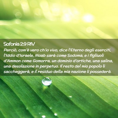 Picture 02 - Sofonia 2:9 RIV - Perciò, com’è vero ch’io vivo, dice - Bible Verse Picture