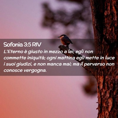 Picture 02 - Sofonia 3:5 RIV - L’Eterno è giusto in mezzo a lei; egli non - Bible Verse Picture