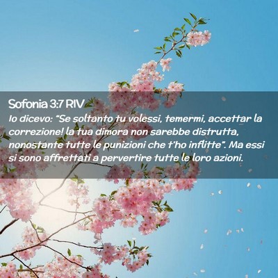 Picture 02 - Sofonia 3:7 RIV - Io dicevo: “Se soltanto tu volessi, temermi, - Bible Verse Picture