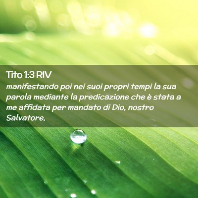 Picture 02 - Tito 1:3 RIV - manifestando poi nei suoi propri tempi la sua - Bible Verse Picture