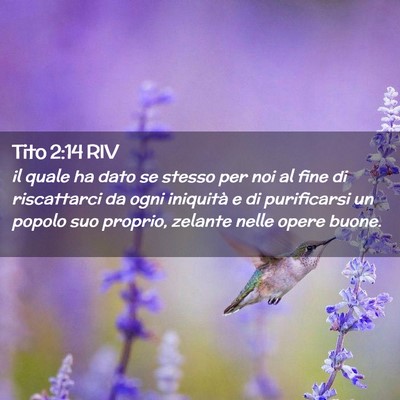 Picture 02 - Tito 2:14 RIV - il quale ha dato se stesso per noi al fine di - Bible Verse Picture
