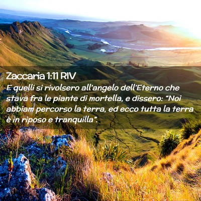 Picture 02 - Zaccaria 1:11 RIV - E quelli si rivolsero all’angelo dell’Eterno - Bible Verse Picture