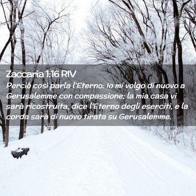 Picture 02 - Zaccaria 1:16 RIV - Perciò così parla l’Eterno: Io mi volgo di - Bible Verse Picture