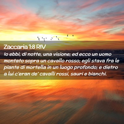 Picture 02 - Zaccaria 1:8 RIV - Io ebbi, di notte, una visione; ed ecco un uomo - Bible Verse Picture