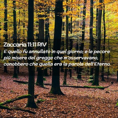 Picture 02 - Zaccaria 11:11 RIV - E quello fu annullato in quel giorno; e le pecore - Bible Verse Picture