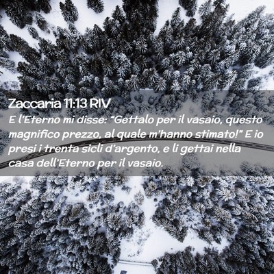 Picture 02 - Zaccaria 11:13 RIV - E l’Eterno mi disse: “Gettalo per il vasaio, - Bible Verse Picture