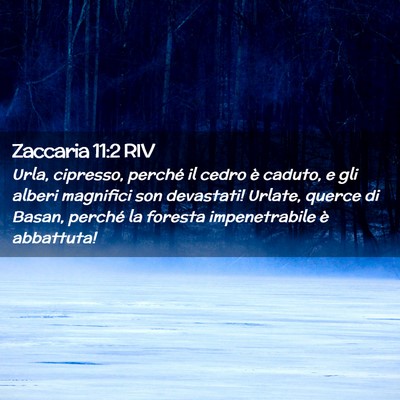 Picture 02 - Zaccaria 11:2 RIV - Urla, cipresso, perché il cedro è caduto, e gli - Bible Verse Picture