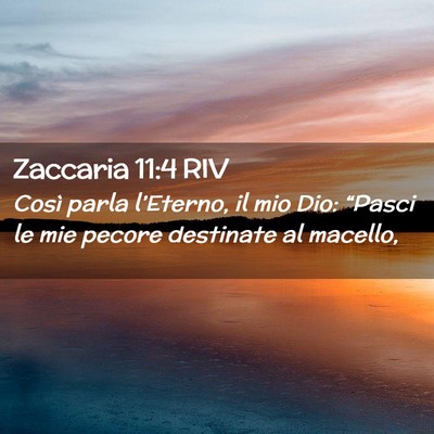 Picture 02 - Zaccaria 11:4 RIV - Così parla l’Eterno, il mio Dio: “Pasci le - Bible Verse Picture
