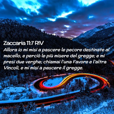 Picture 02 - Zaccaria 11:7 RIV - Allora io mi misi a pascere le pecore destinate - Bible Verse Picture