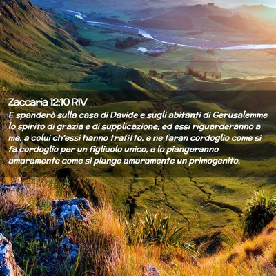 Picture 02 - Zaccaria 12:10 RIV - E spanderò sulla casa di Davide e sugli abitanti - Bible Verse Picture