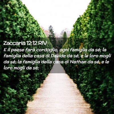 Picture 02 - Zaccaria 12:12 RIV - E il paese farà cordoglio, ogni famiglia da sé; - Bible Verse Picture