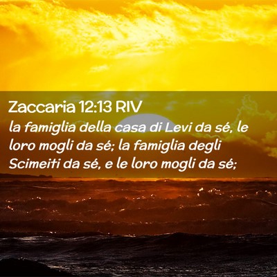Picture 02 - Zaccaria 12:13 RIV - la famiglia della casa di Levi da sé, le loro - Bible Verse Picture