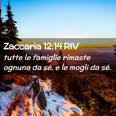 Picture 02 - Zaccaria 12:14 RIV - tutte le famiglie rimaste ognuna da sé, e le - Bible Verse Picture
